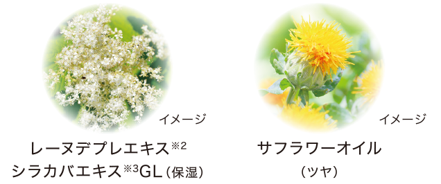 レーヌデプレエキス※2、シラカバエキス※3 GL（保湿）サフラワーオイル（ツヤ）