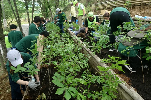 植樹活動の様子2