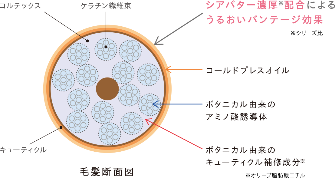 シアバター濃厚※配合によるうるおいバンテージ効果